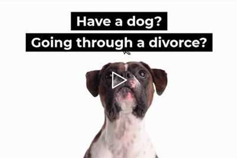 Pet Custody - Divorce Attorney Commercial - Marie Sarantakis