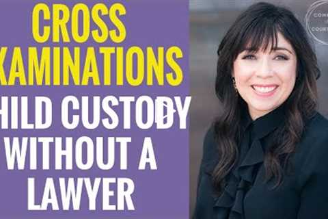 Cross Examinations Tips | Child Custody Without a Lawyer