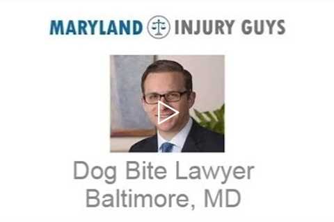 Dog Bite Lawyer Baltimore, MD    Maryland Injury Guys