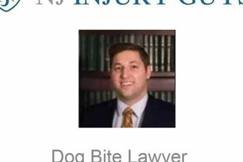 Dog Bite Lawyer Cherry Hill, NJ