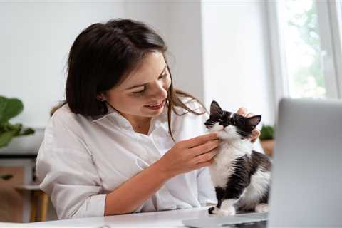 Estate Planning for Pets