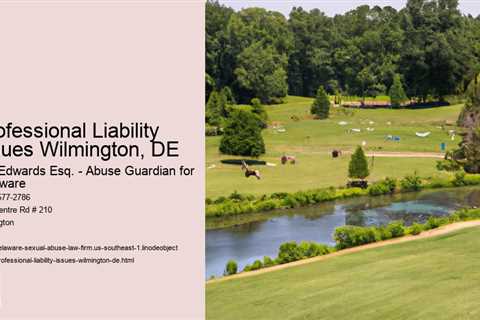 Professional Liability Issues Wilmington, DE