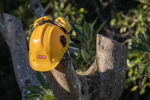 CHOOSING THE RIGHT TREE SERVICE COMPANY IN UTAH