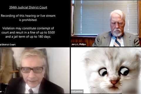 A Lawyer Who Is Not a Cat May Be the Star of a New Viral Video