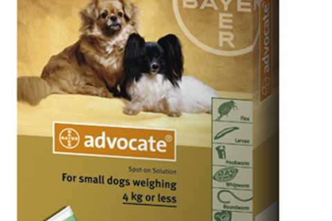 How Often Should I Use Advocate For Dogs?