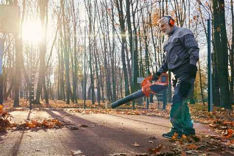 Who is Responsible for Tree Removal?