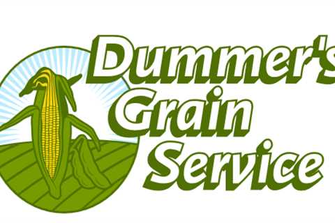 Dummer's Grain Service - Stock Quotes