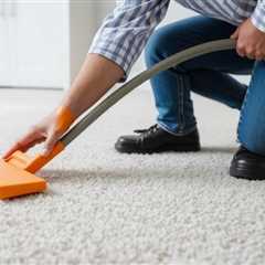 Same-day Carpet Cleaning