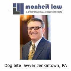Dog bite lawyer Jenkintown, PA