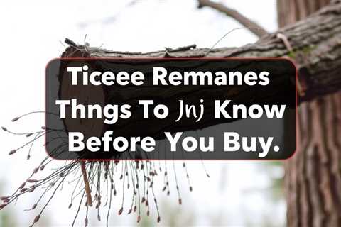Tree Removal Things To Know Before You Buy
