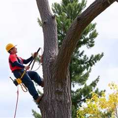 Indicators On Best Tree Removal In Utah County You Should Know