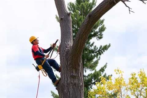 Indicators On Best Tree Removal In Utah County You Should Know