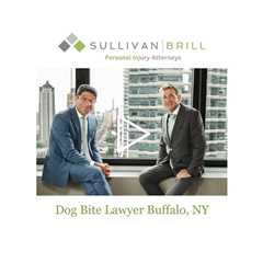 Dog Bite Lawyer Buffalo, NY - Sullivan Brill Personal Injury Attorneys