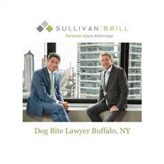 Dog Bite Lawyer Buffalo, NY