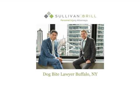 Dog Bite Lawyer Buffalo, NY - Sullivan Brill Personal Injury Attorneys