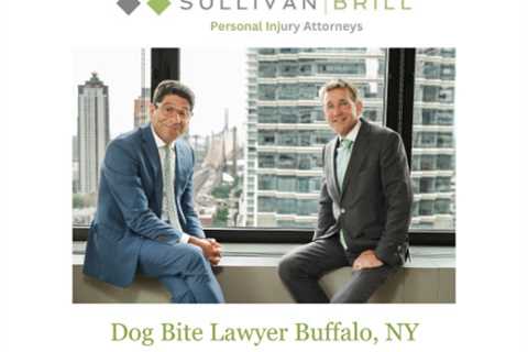 Dog Bite Lawyer Buffalo, NY
