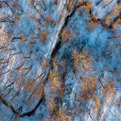 New blog hanke950ayx5.dm-blog.com