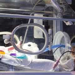 Birth Injury Lawsuits Frederick, MD · May 7 – Jul 8 📸