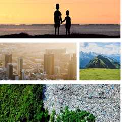 The Impact of Plastic Bag Bans in St. Leonard, Maryland