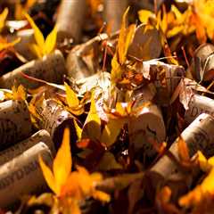 New blog irvings122wma0.blogofchange.com