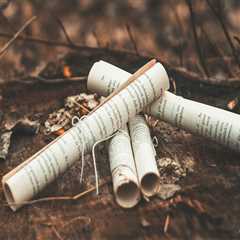 New blog janisa211qdp5.bloggerchest.com