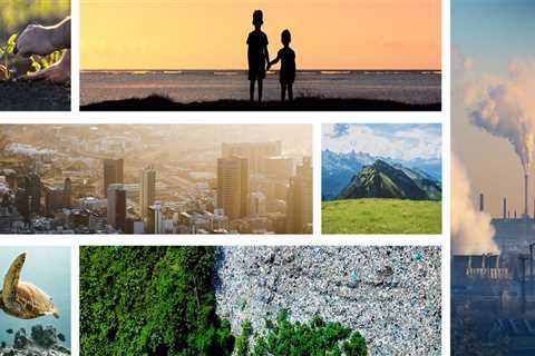 The Impact of Plastic Bag Bans in St. Leonard, Maryland