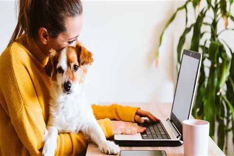 New blog rodneyd952fec7.ziblogs.com