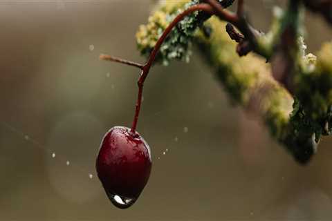 New blog mohamedn542raj2.ourcodeblog.com