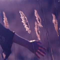 5 Essential Elements For business lawyer near me