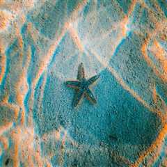 heber city business lawyer Options