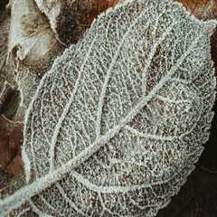 The smart Trick of Estate And Gift Tax That Nobody is Discussing