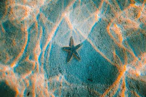 heber city business lawyer Options