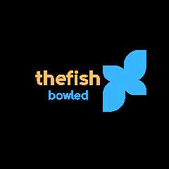 User: jackie langdon  - thefishbowled.com | Smart Business News & Insight